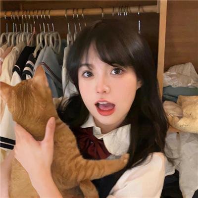 饿狼传：孤狼之道